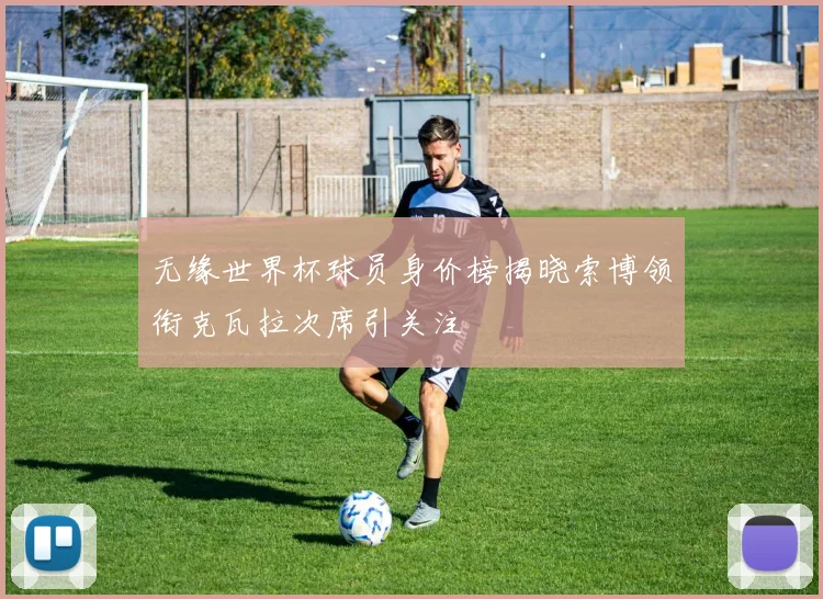 无缘世界杯球员身价榜揭晓索博领衔克瓦拉次席引关注