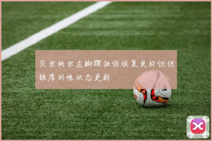 贝尔纳尔左脚踝扭伤恢复良好但仍缺席训练状态更新